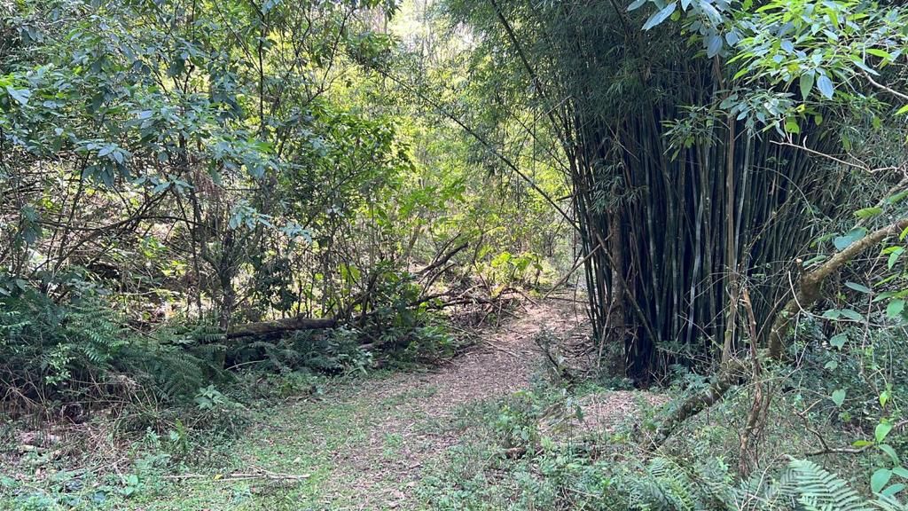  - Terreno à venda em Gramado, Carazal, 20000m²