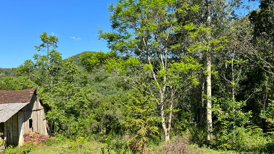 Terreno à venda em Gramado, Carazal, 20000m² - Nobilis Negócios Imobiliários