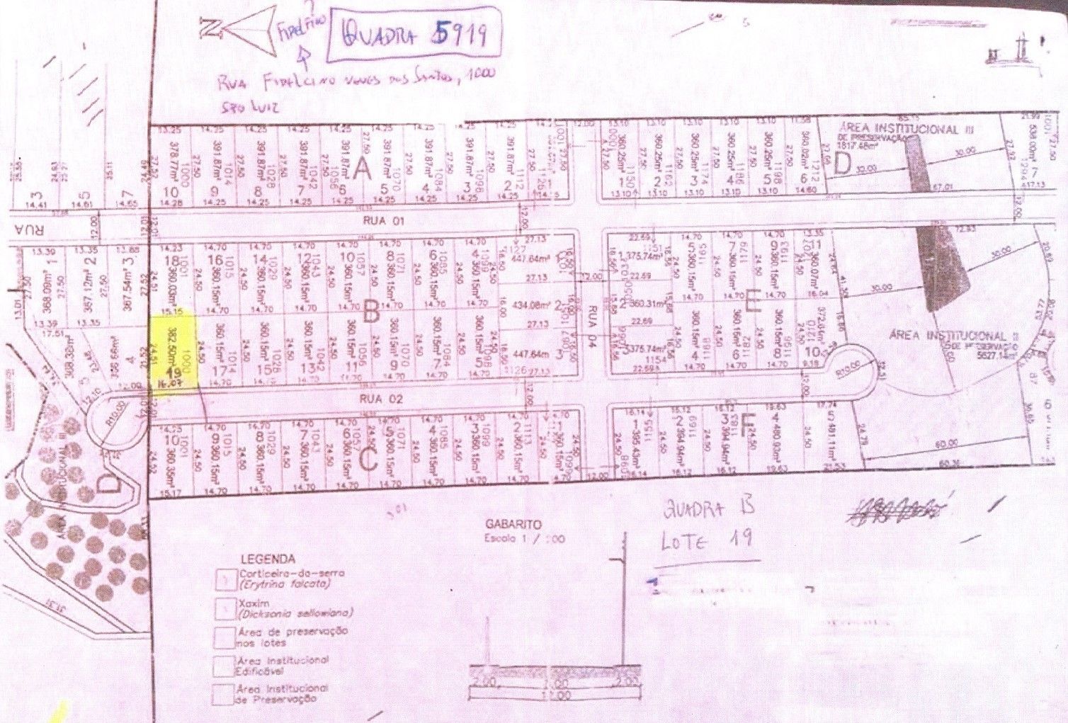 Terreno, 383 hectares - Foto 4