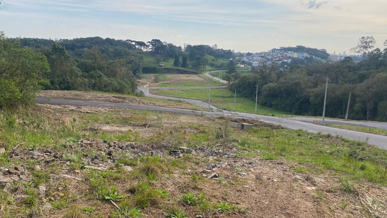 Terreno, 360 hectares - Foto 3