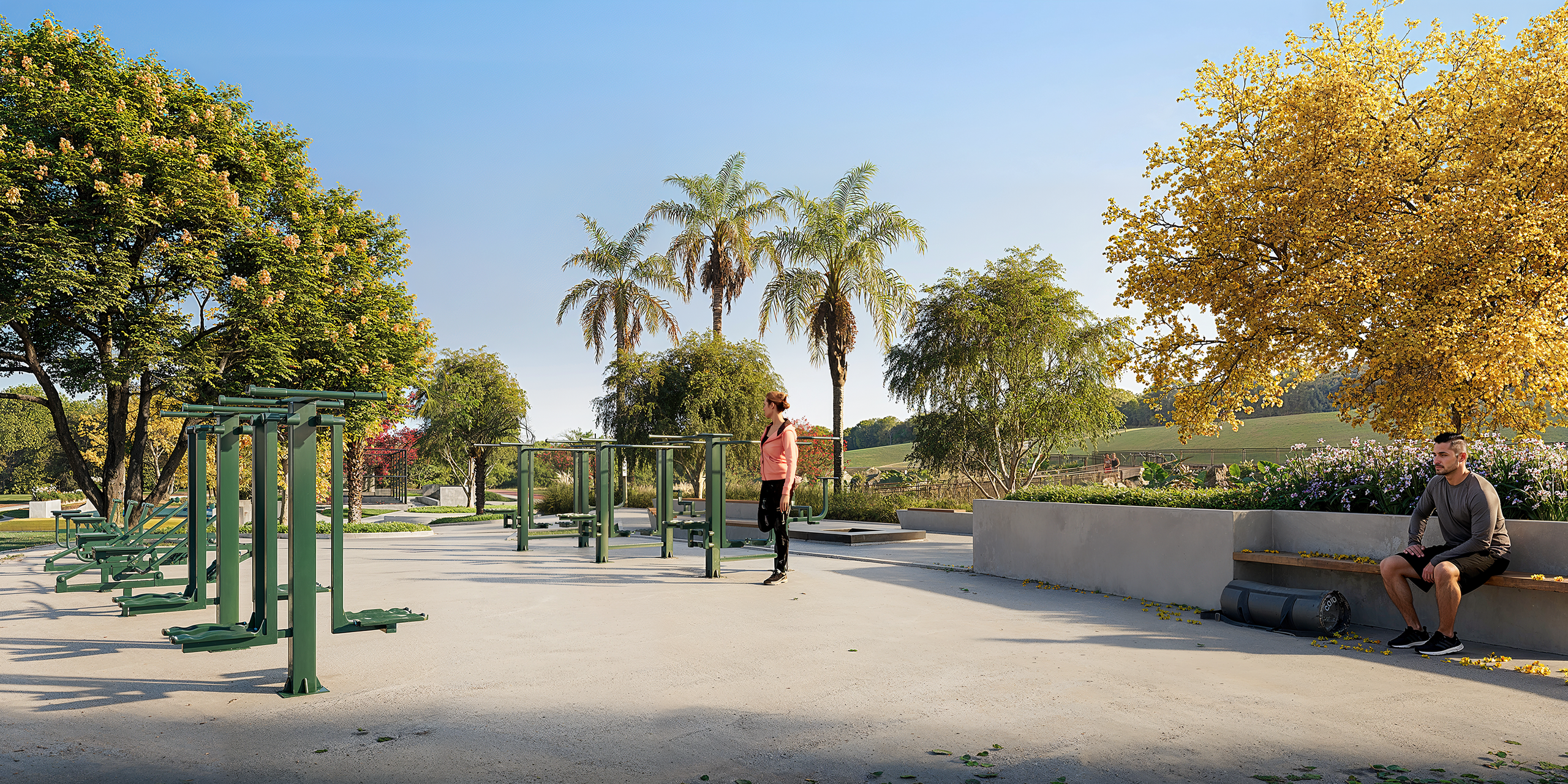 Terreno, 300 hectares - Foto 4