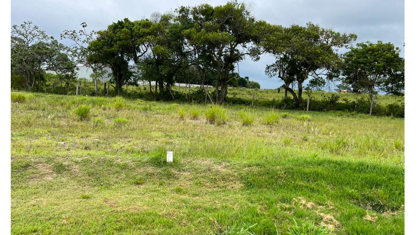 Terreno, 344 m² - Foto 1