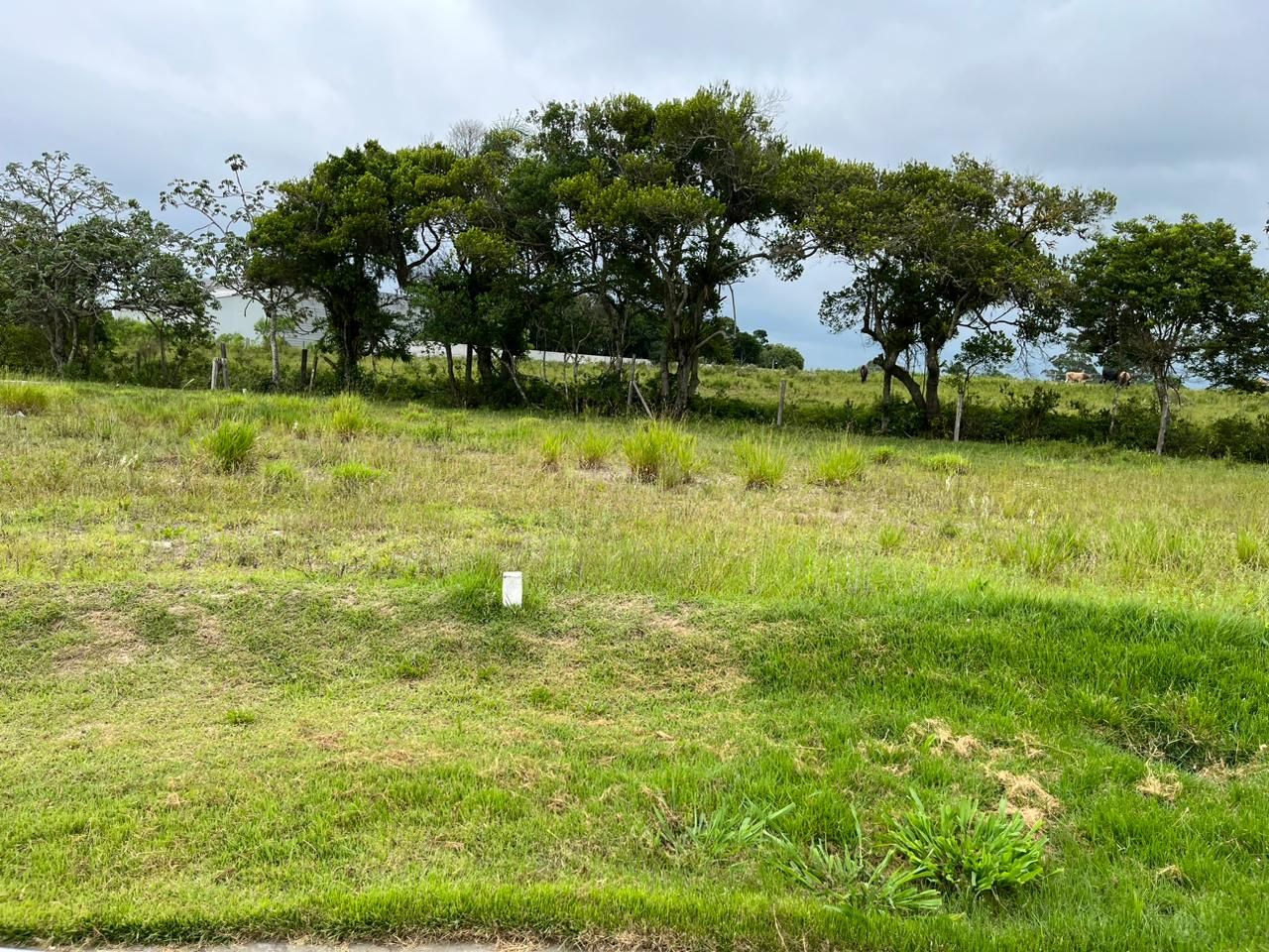 Lote/Terreno de no bairro Bosque das Figueiras, em Passo de Torres | Eu Corretor