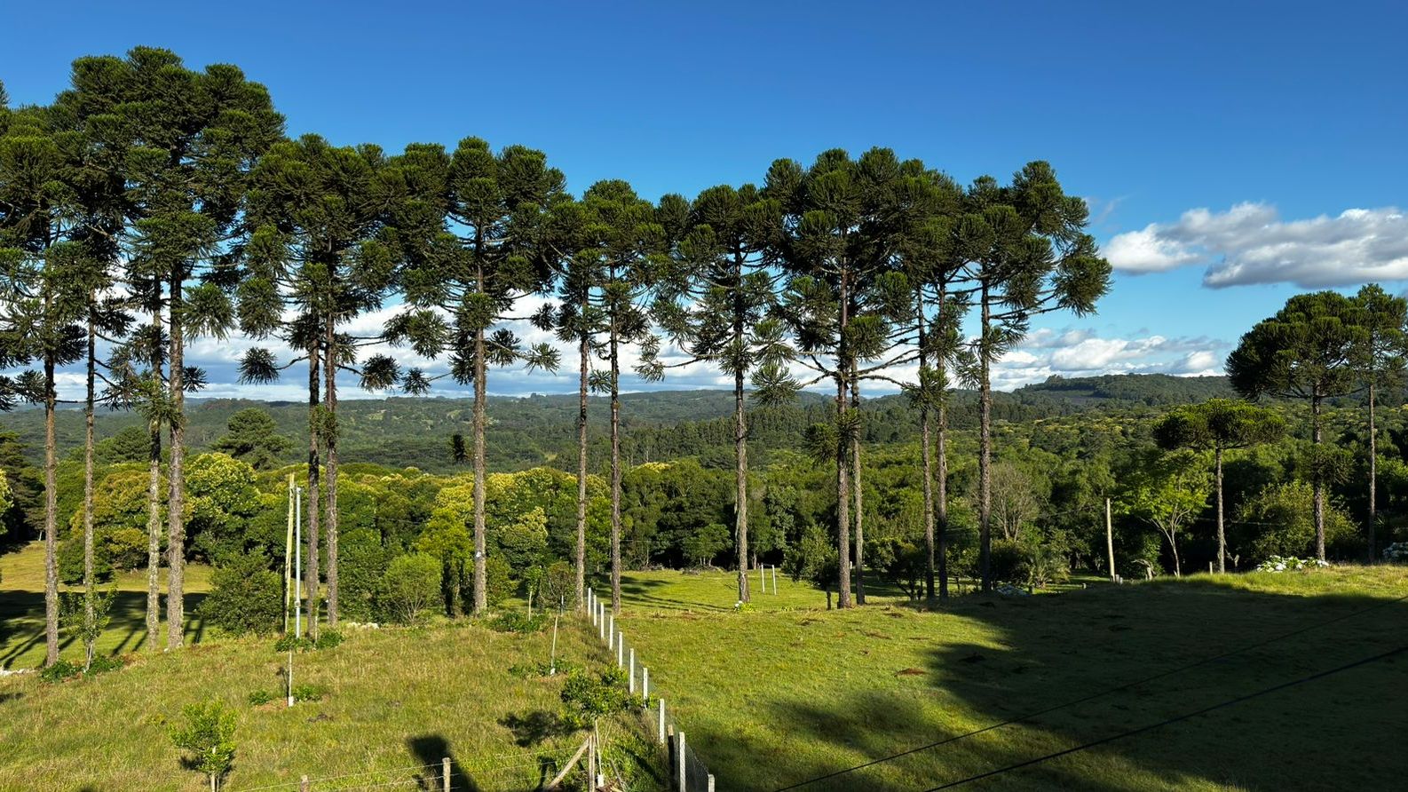 Banner Página