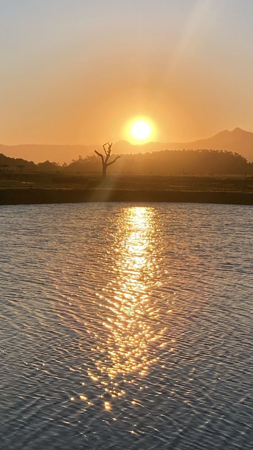 Terreno, 450 m² - Foto 22