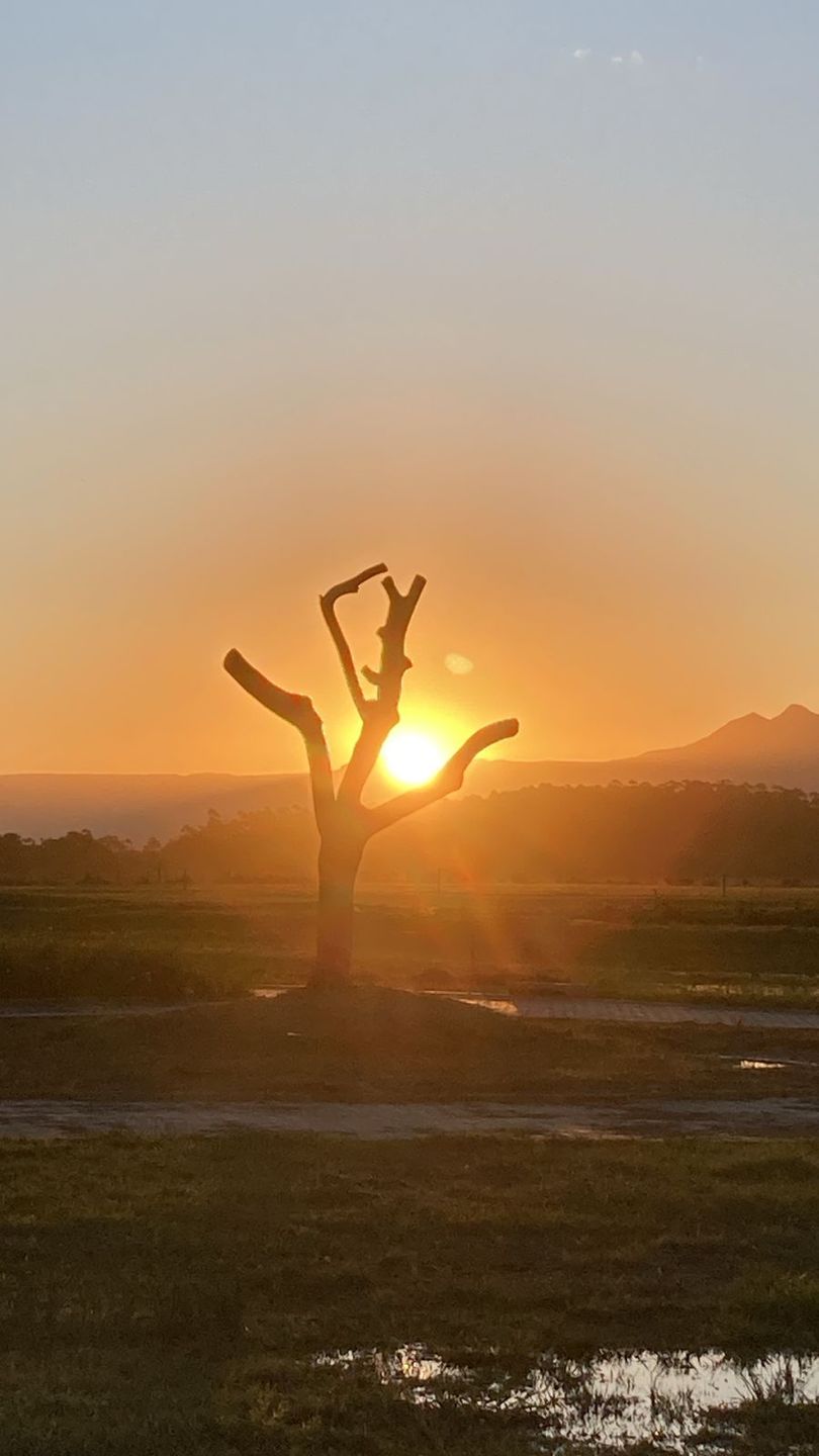 Terreno, 450 m² - Foto 24