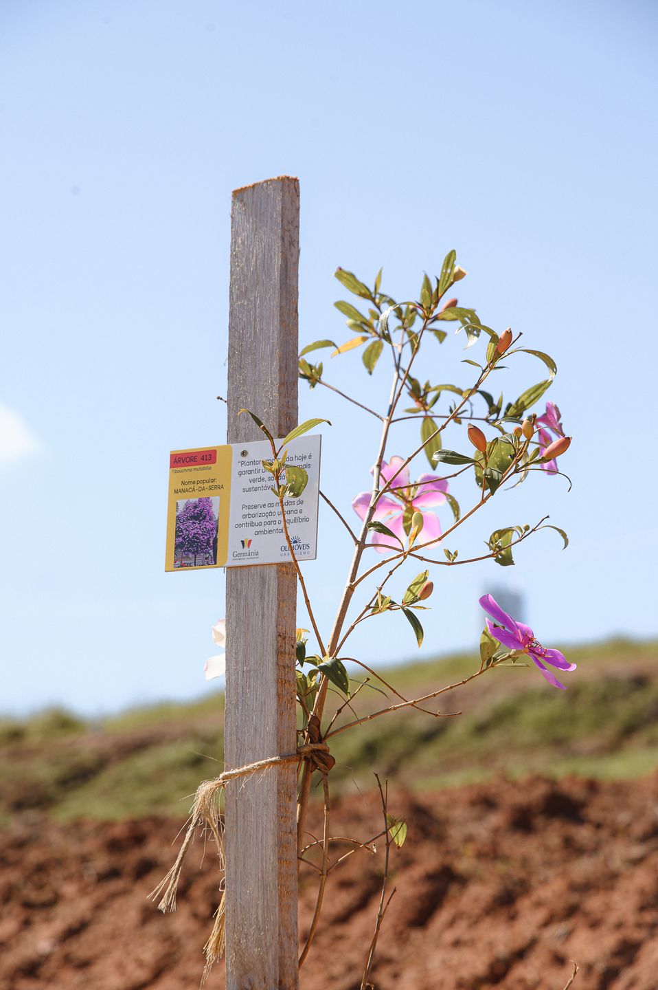 Loteamento Germânia
