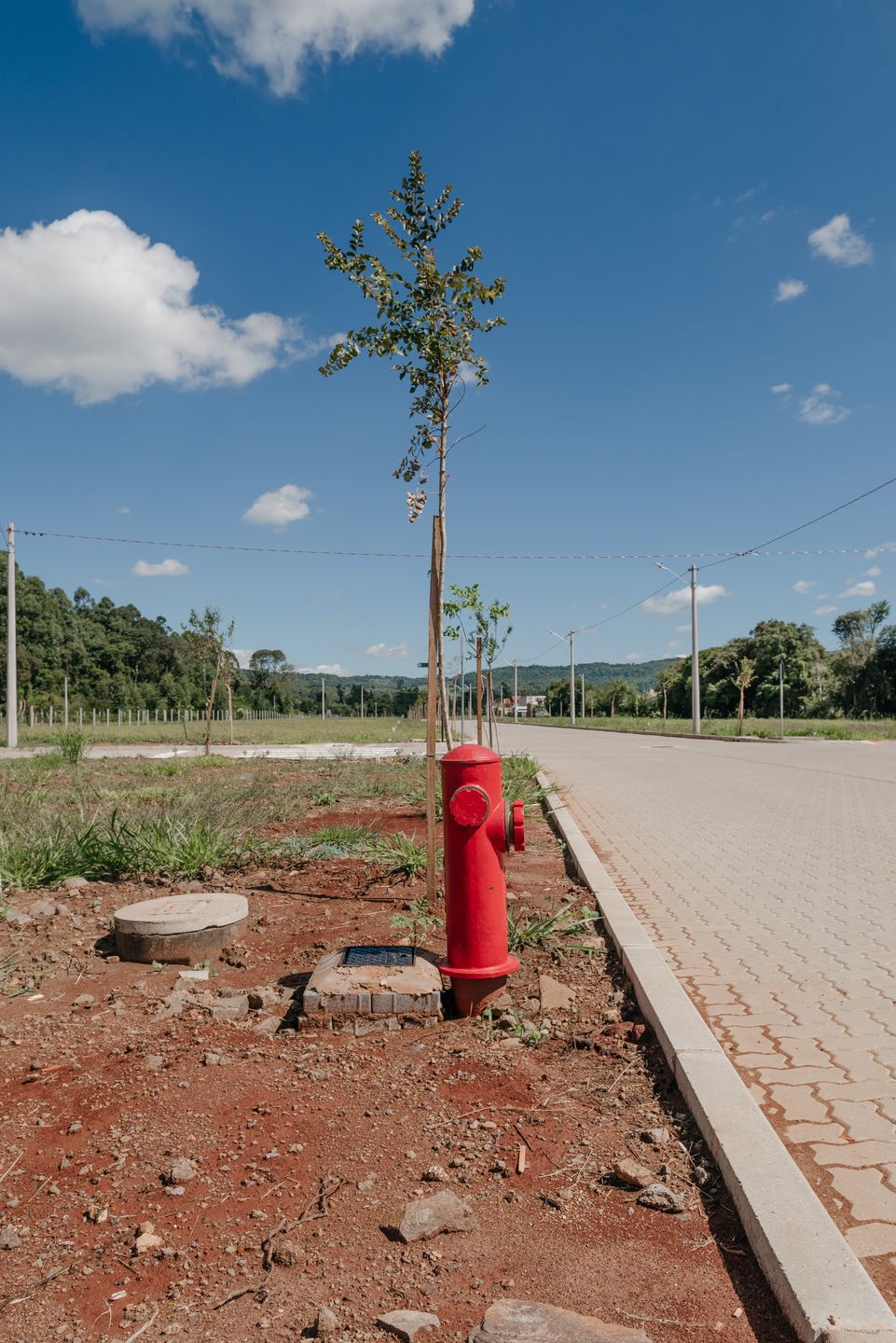 Terreno, 300 hectares - Foto 6