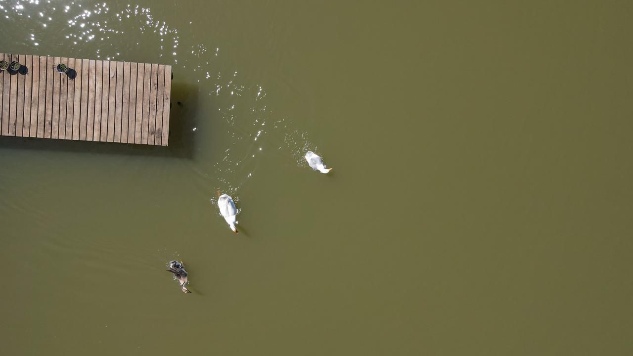 Chácara, 1 quarto - Foto 3