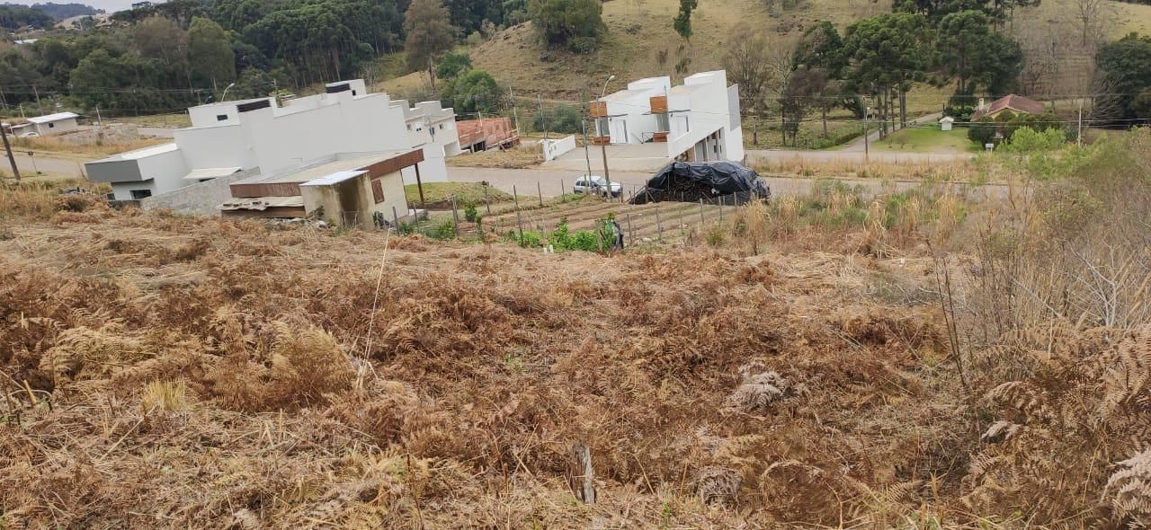Terreno, 306 hectares - Foto 8