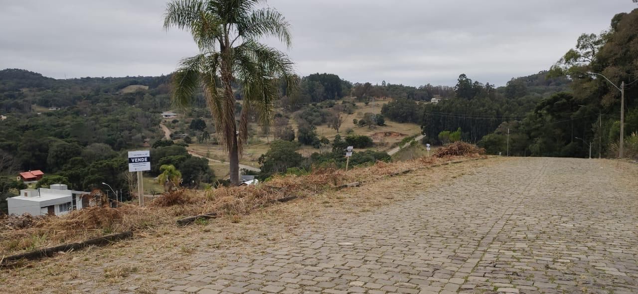 Terreno, 306 hectares - Foto 7