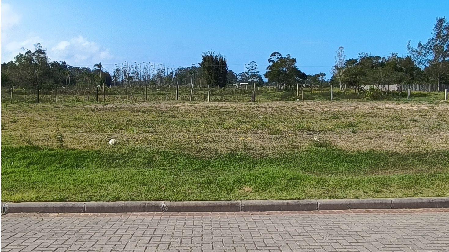 Terreno, 306 m² - Foto 1