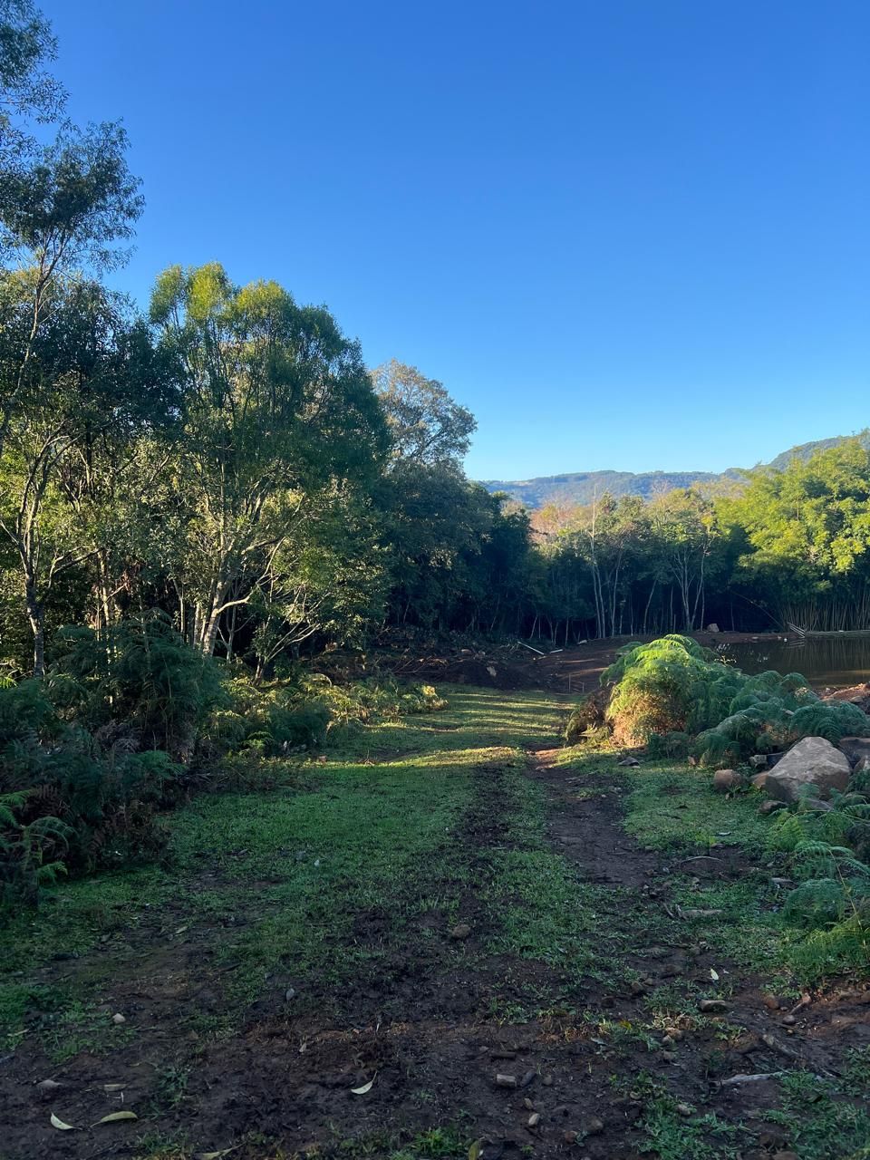 Chácara à venda em gramado, centro, 20000m² - foto 7