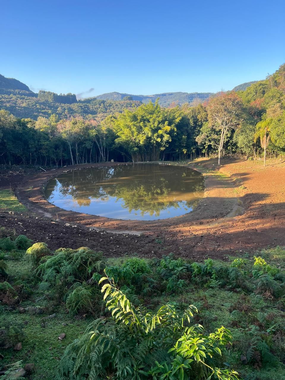 Chácara à venda em gramado, centro, 20000m² - foto 10