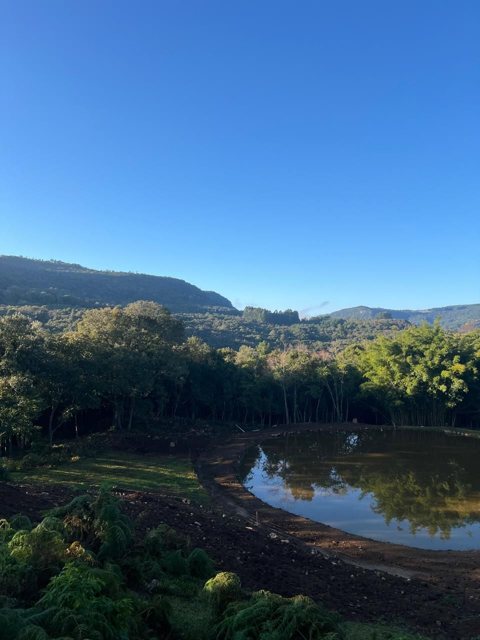 Chácara à venda em gramado, centro, 20000m² - foto 8