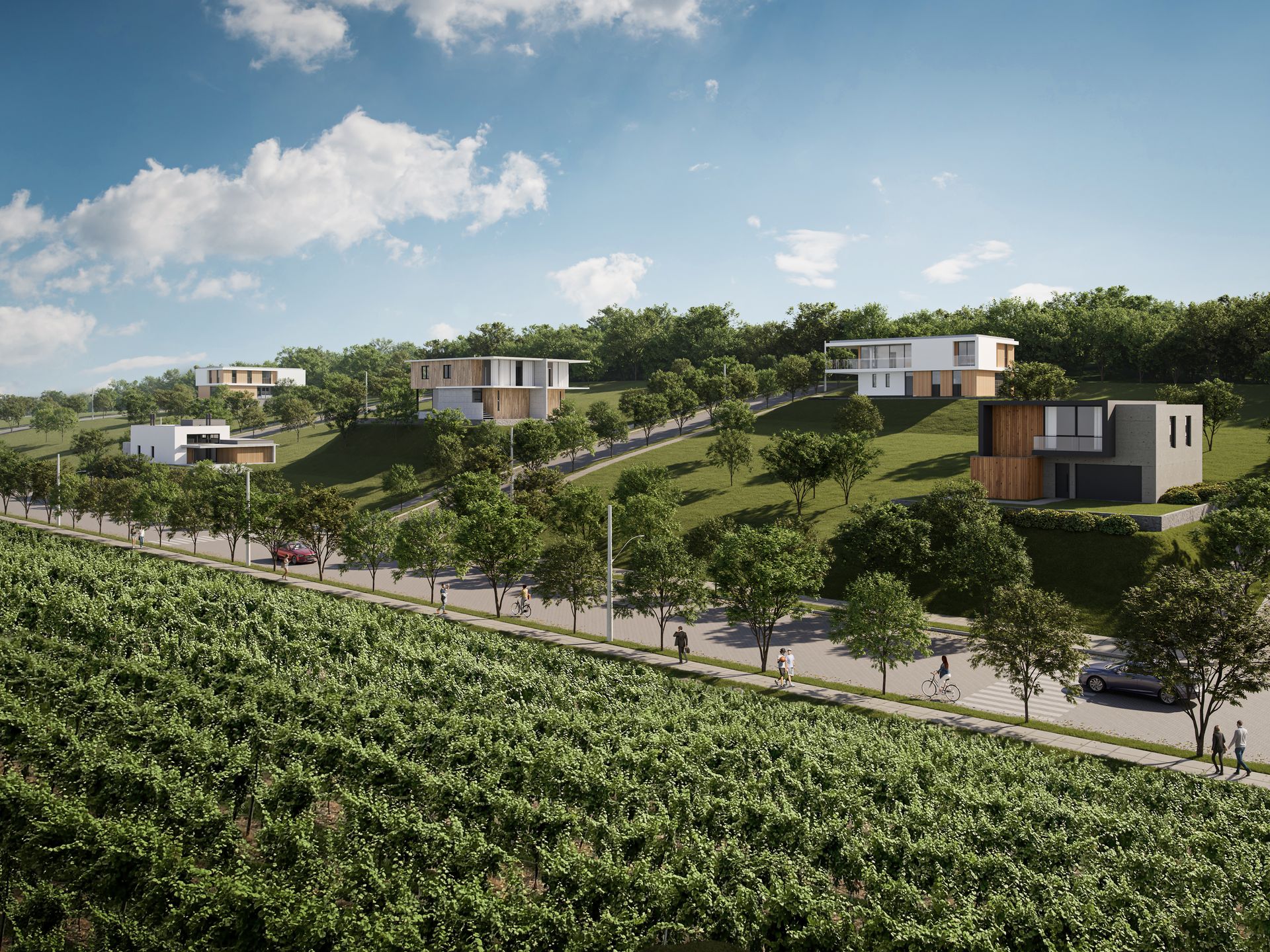 Terreno, 377 hectares - Foto 6