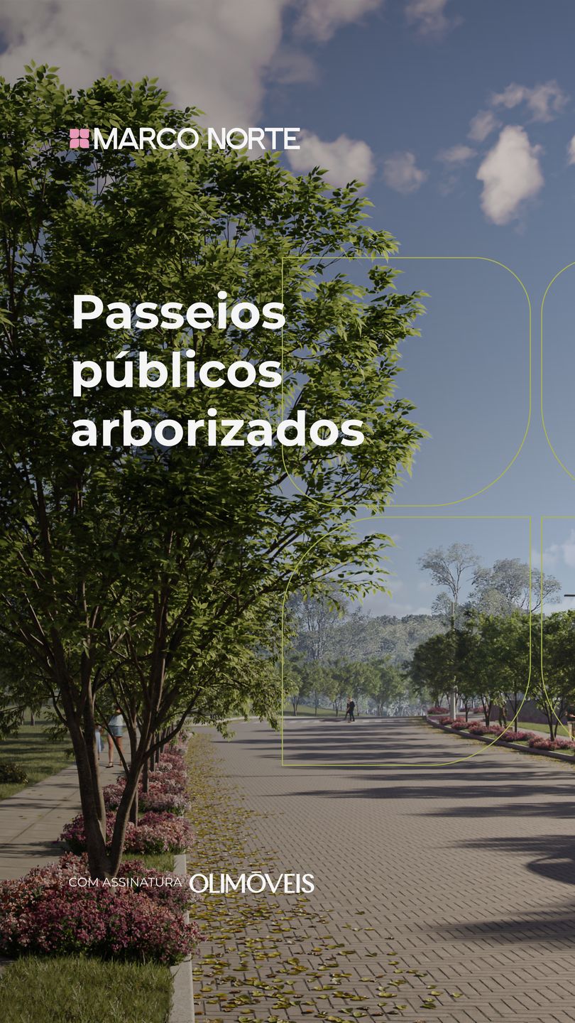 Terreno, 377 hectares - Foto 30