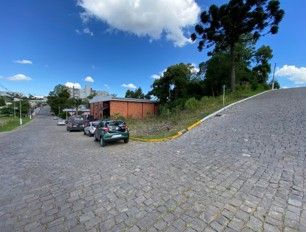 Terreno, 363 hectares - Foto 3