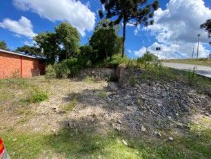 Terreno, 363 hectares - Foto 2