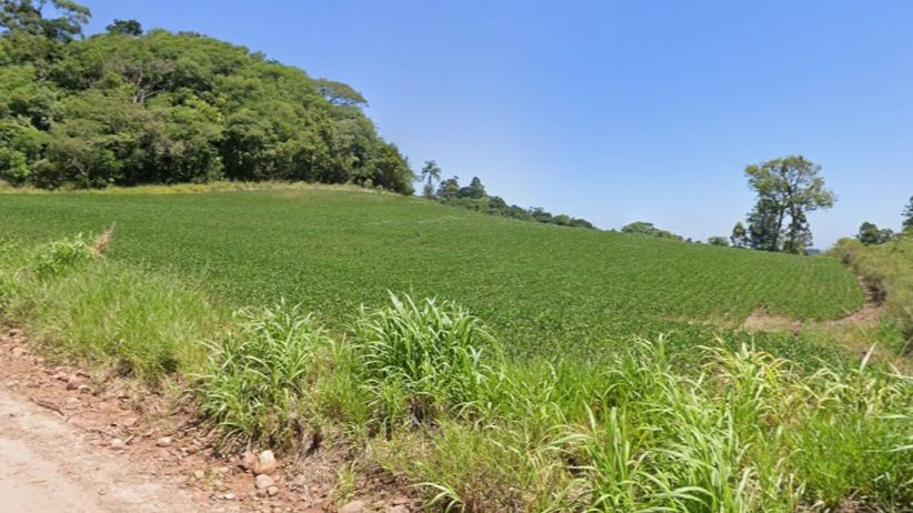 Area Paraiso Do Sul