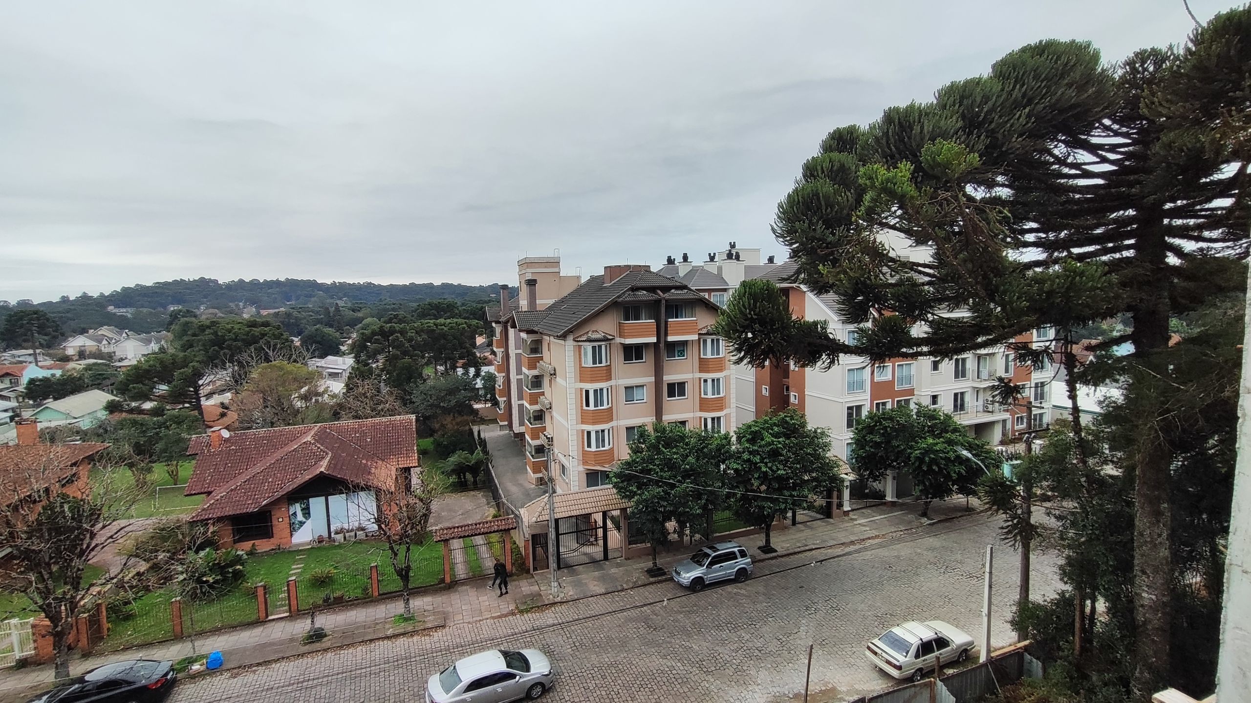 Miniatura 11