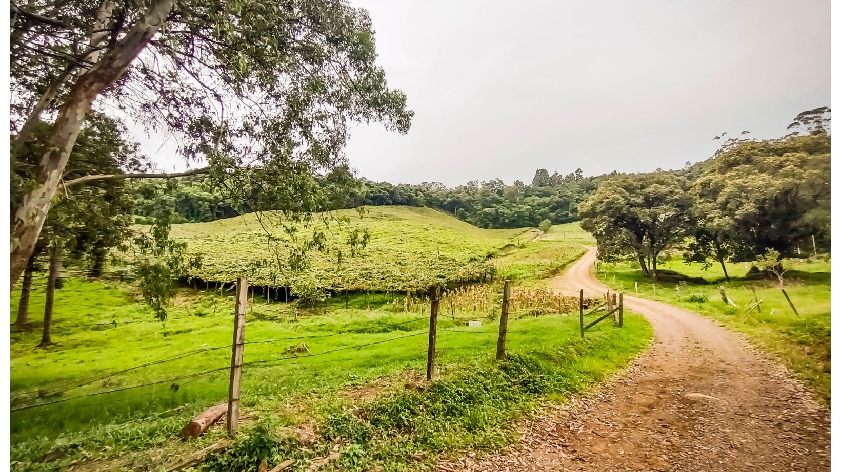 Área De Terras
