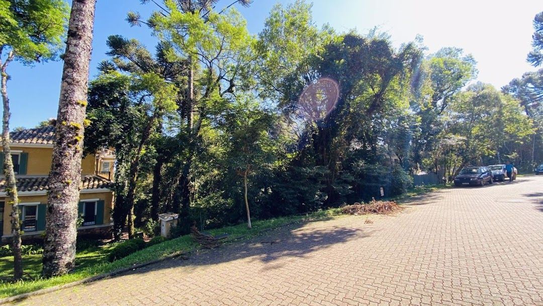 Terreno, 785 hectares - Foto 6