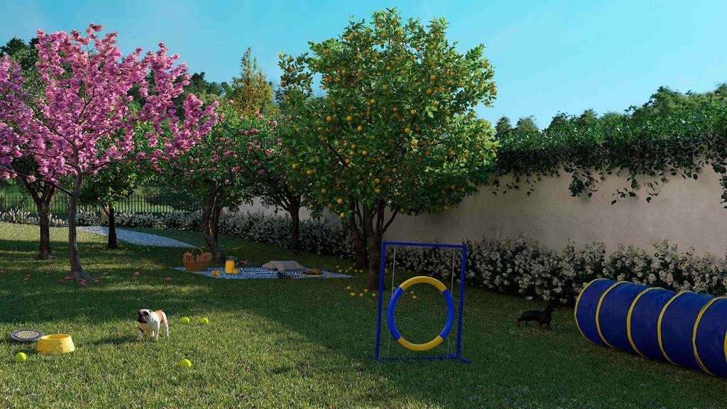 The Garden