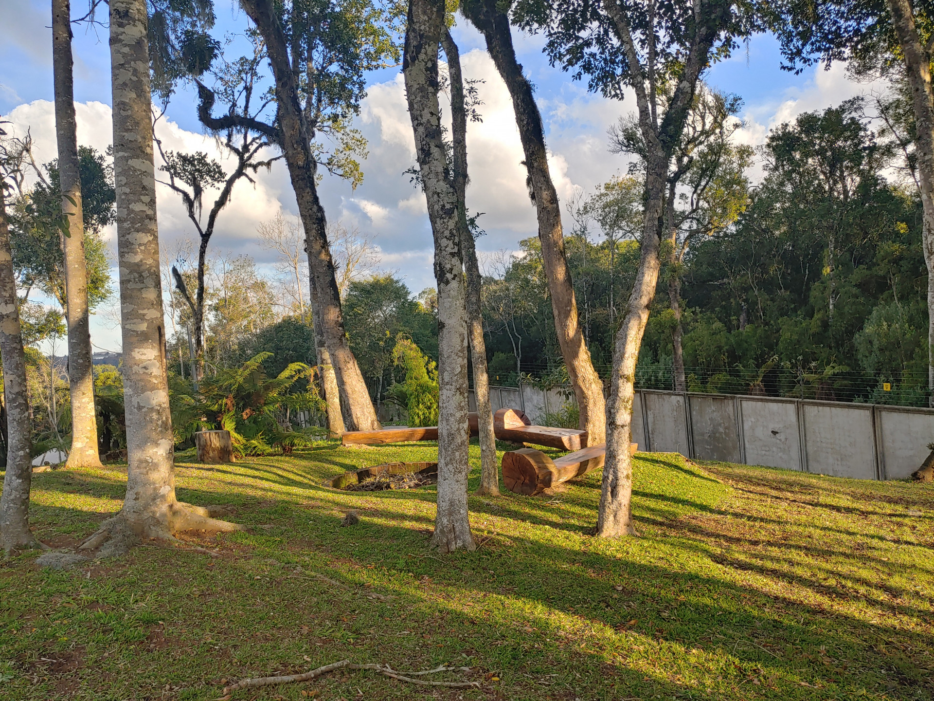 Terreno, 721 hectares - Foto 29