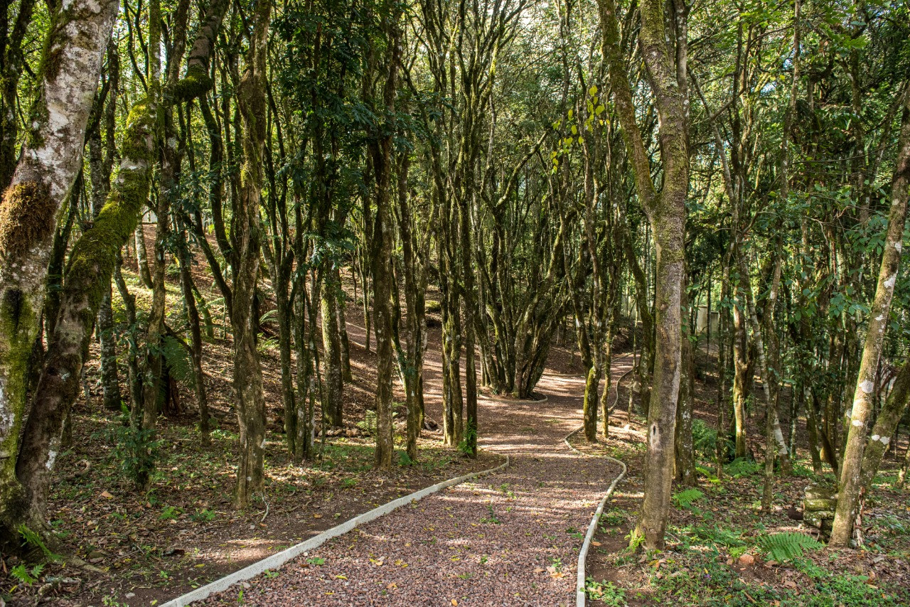 Terreno, 721 hectares - Foto 19