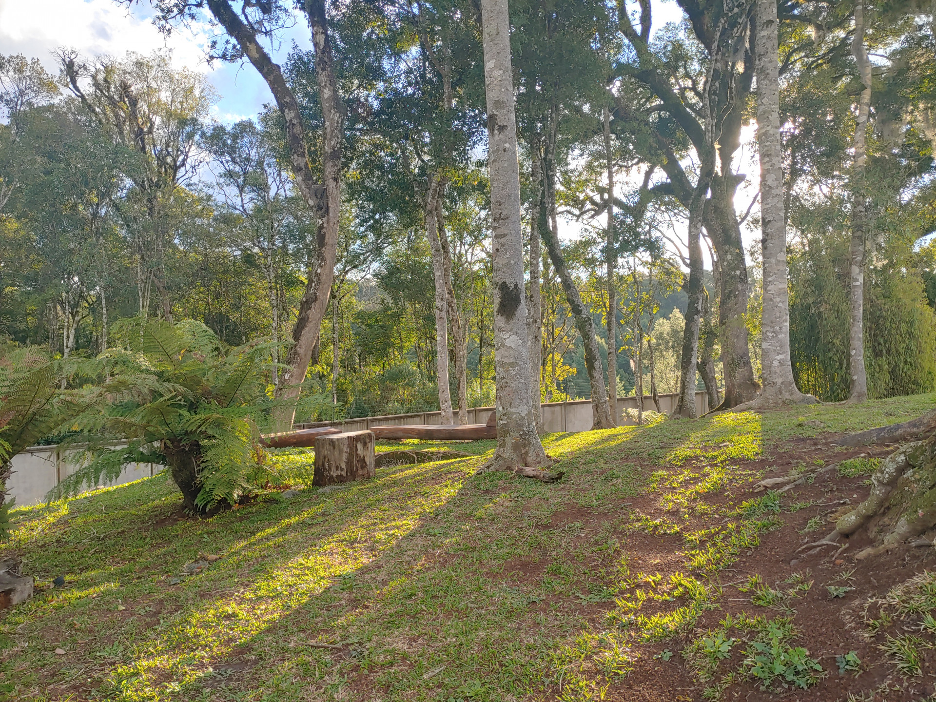 Terreno, 721 hectares - Foto 25
