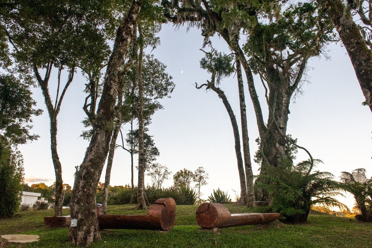 Terreno, 721 hectares - Foto 18