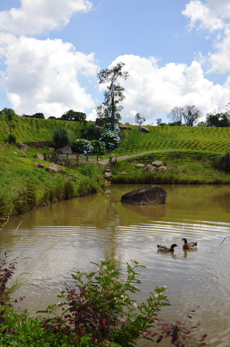 Terreno, 721 hectares - Foto 12