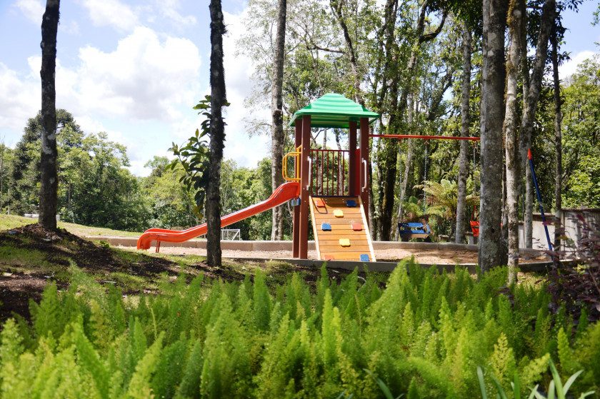 Terreno, 721 hectares - Foto 78