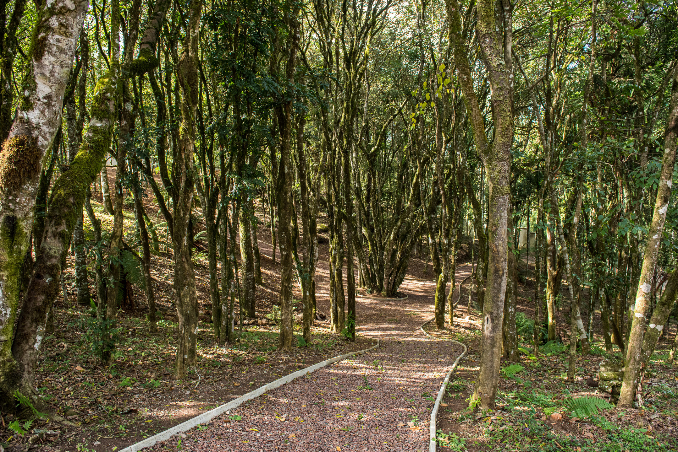 Terreno, 721 hectares - Foto 94