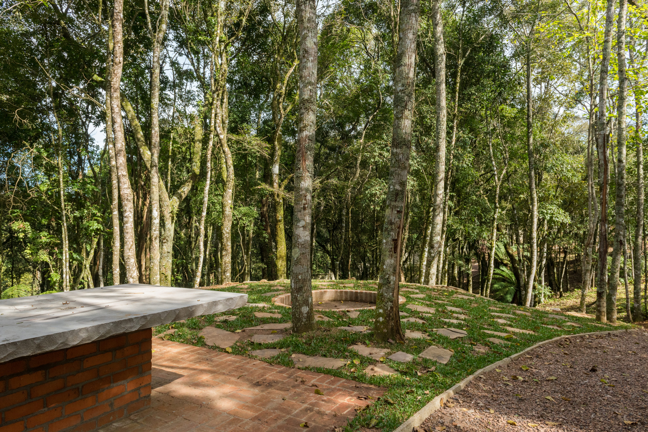 Terreno, 721 hectares - Foto 95