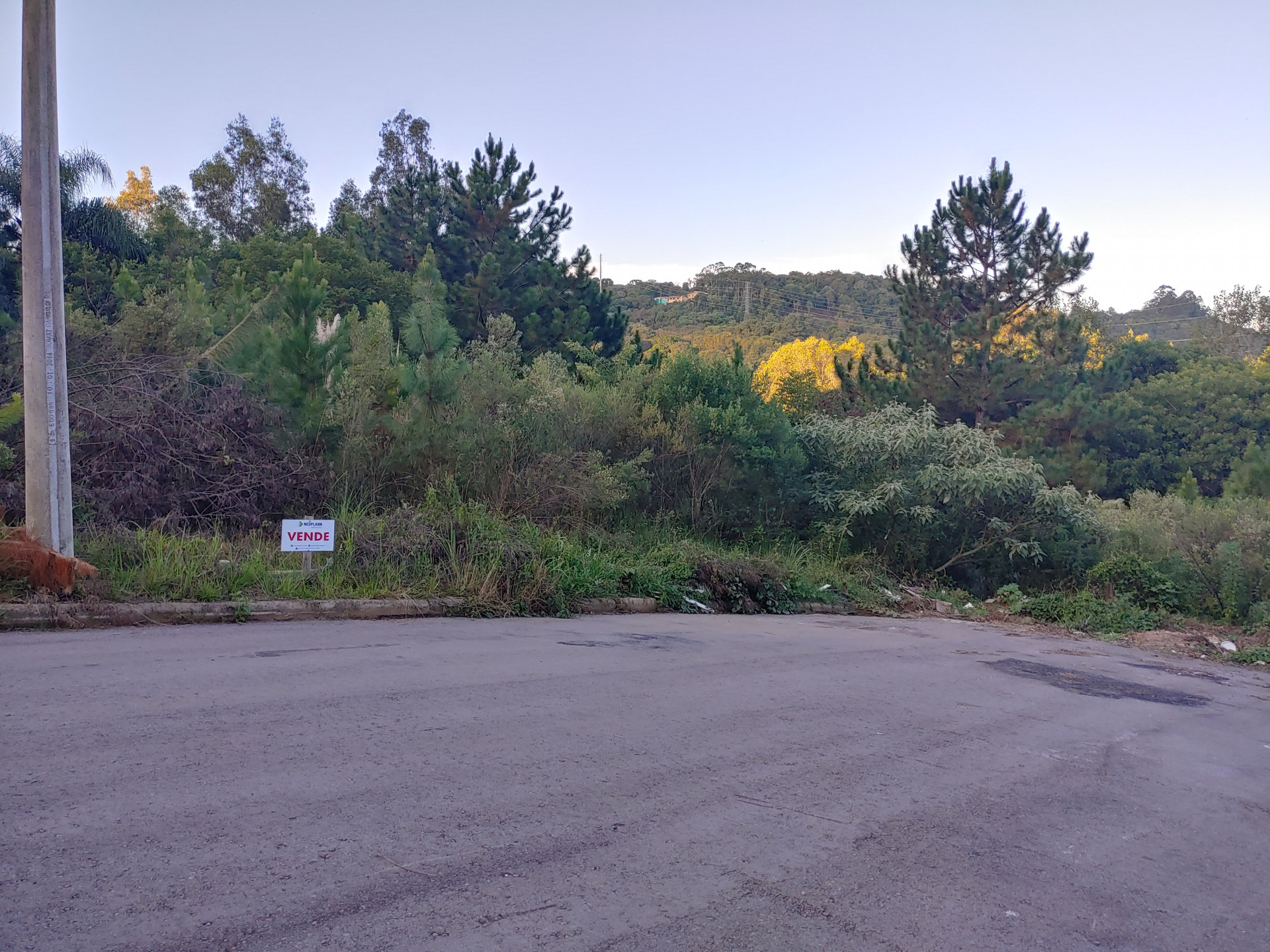 Terreno, 315 hectares - Foto 4
