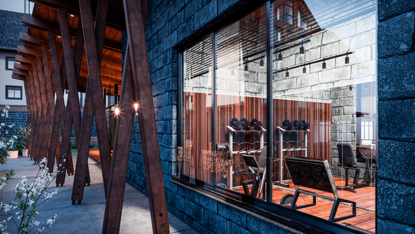 Academia