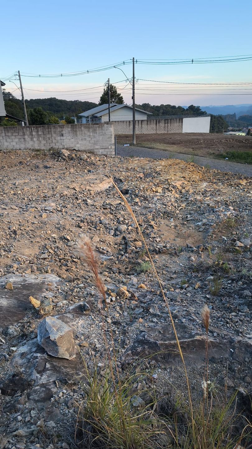 Terreno, 368 hectares - Foto 5