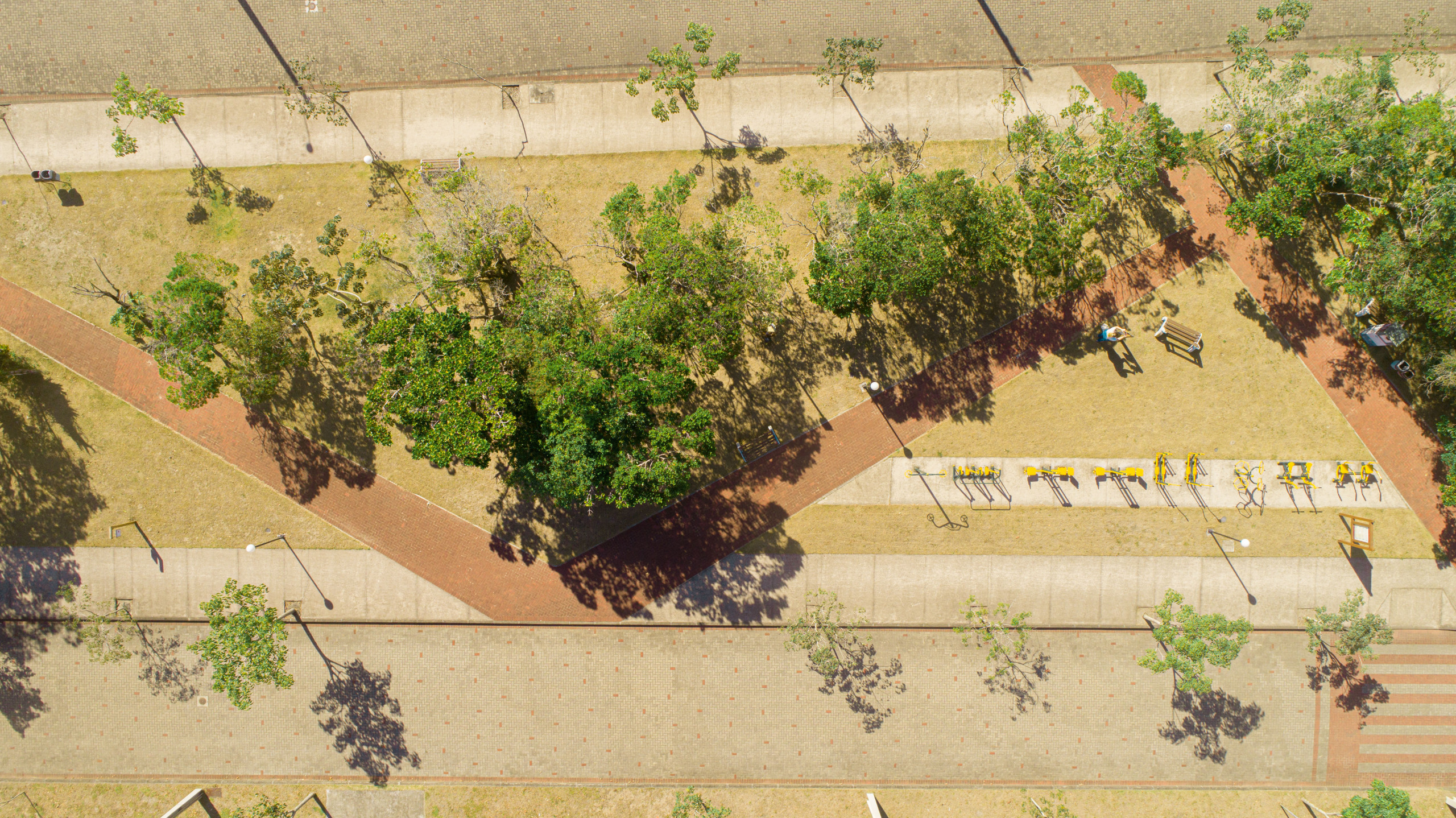 Bosque das Figueiras