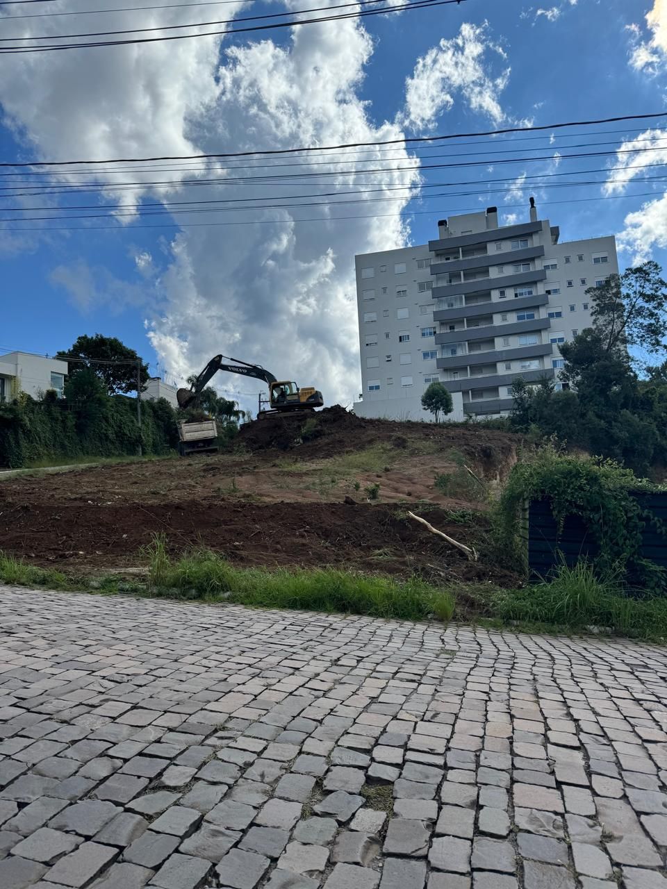 Terreno, 800 hectares - Foto 2