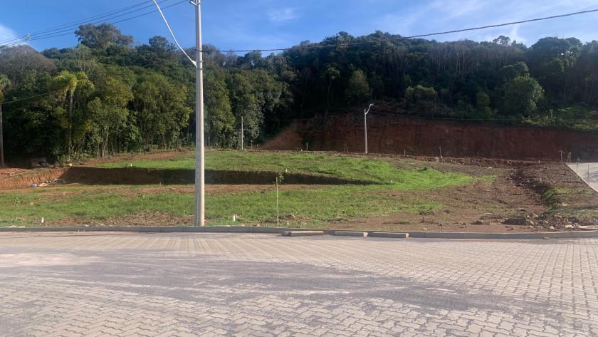 Banner Página