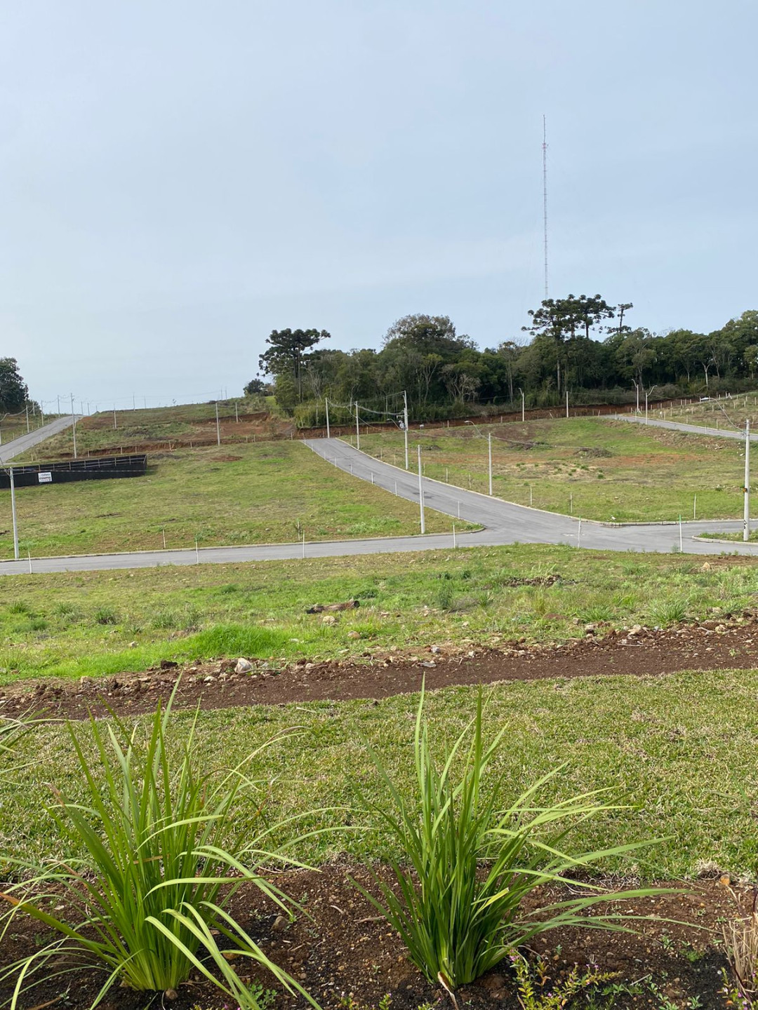 Terreno, 345 hectares - Foto 8