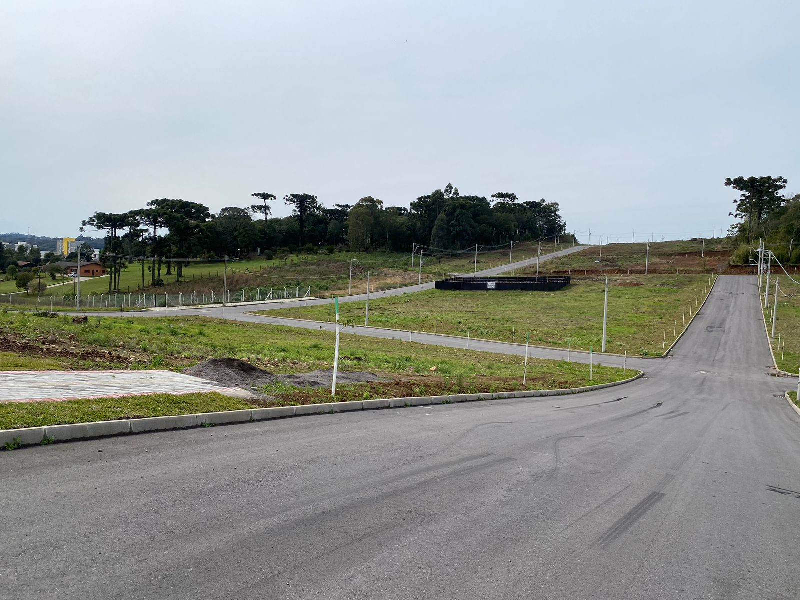 Terreno, 345 hectares - Foto 6