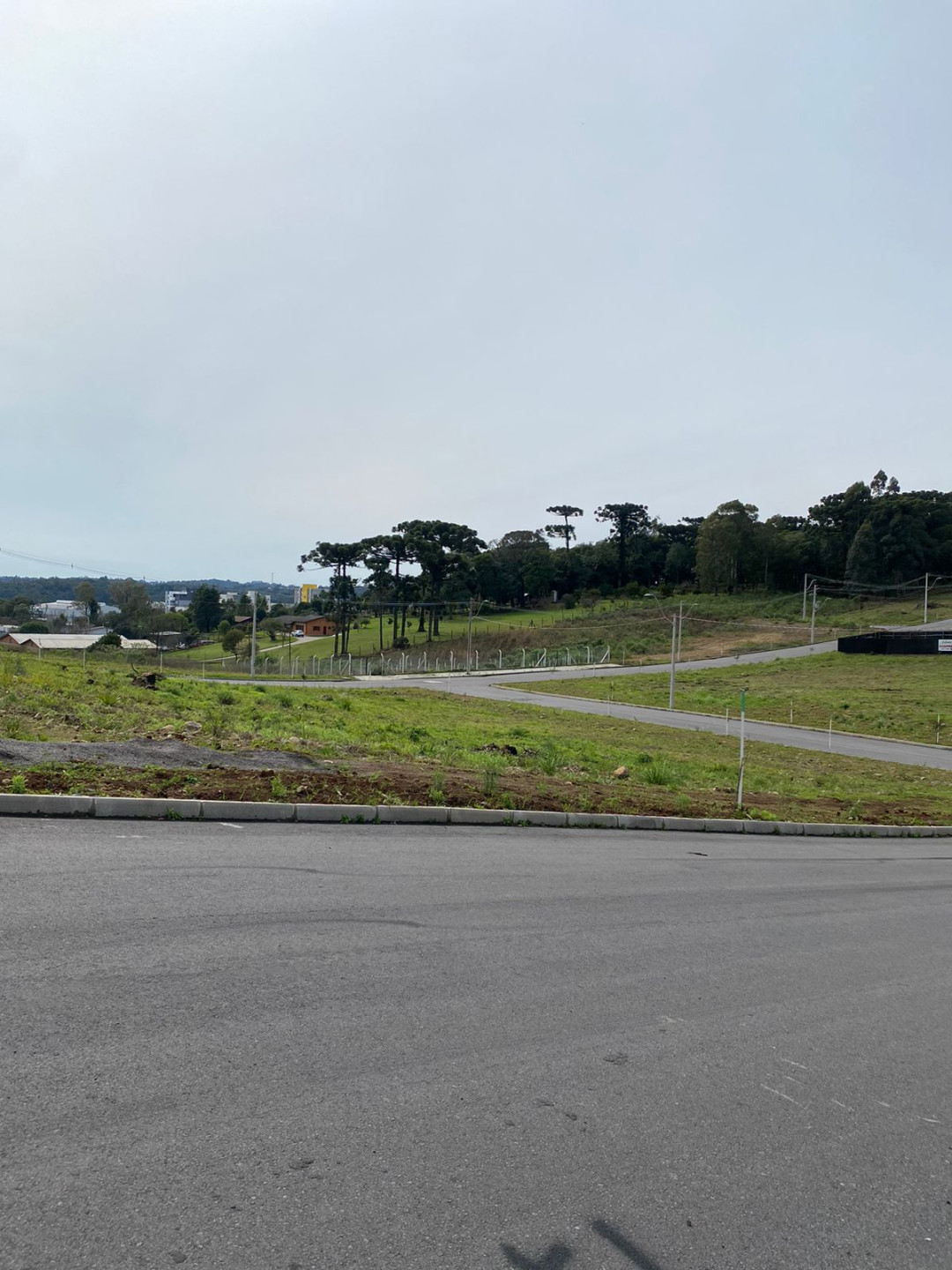 Terreno, 345 hectares - Foto 15