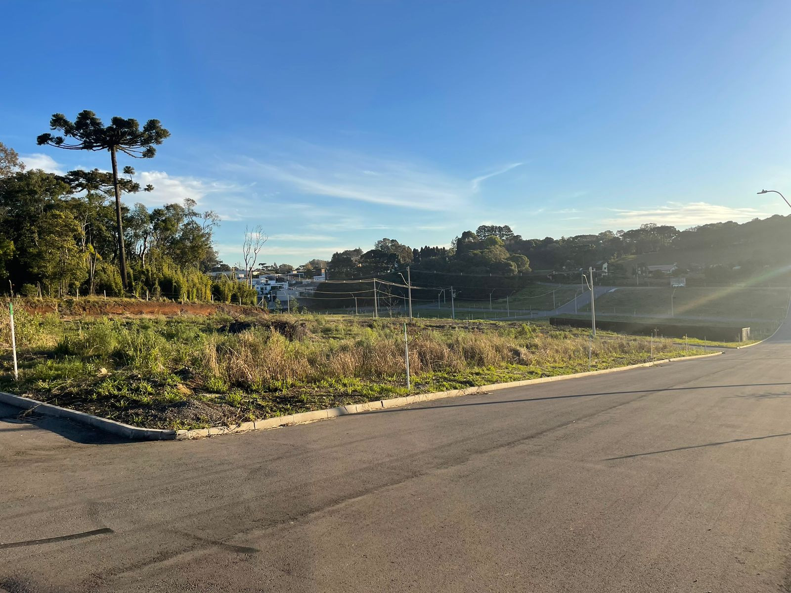 Terreno, 345 hectares - Foto 42
