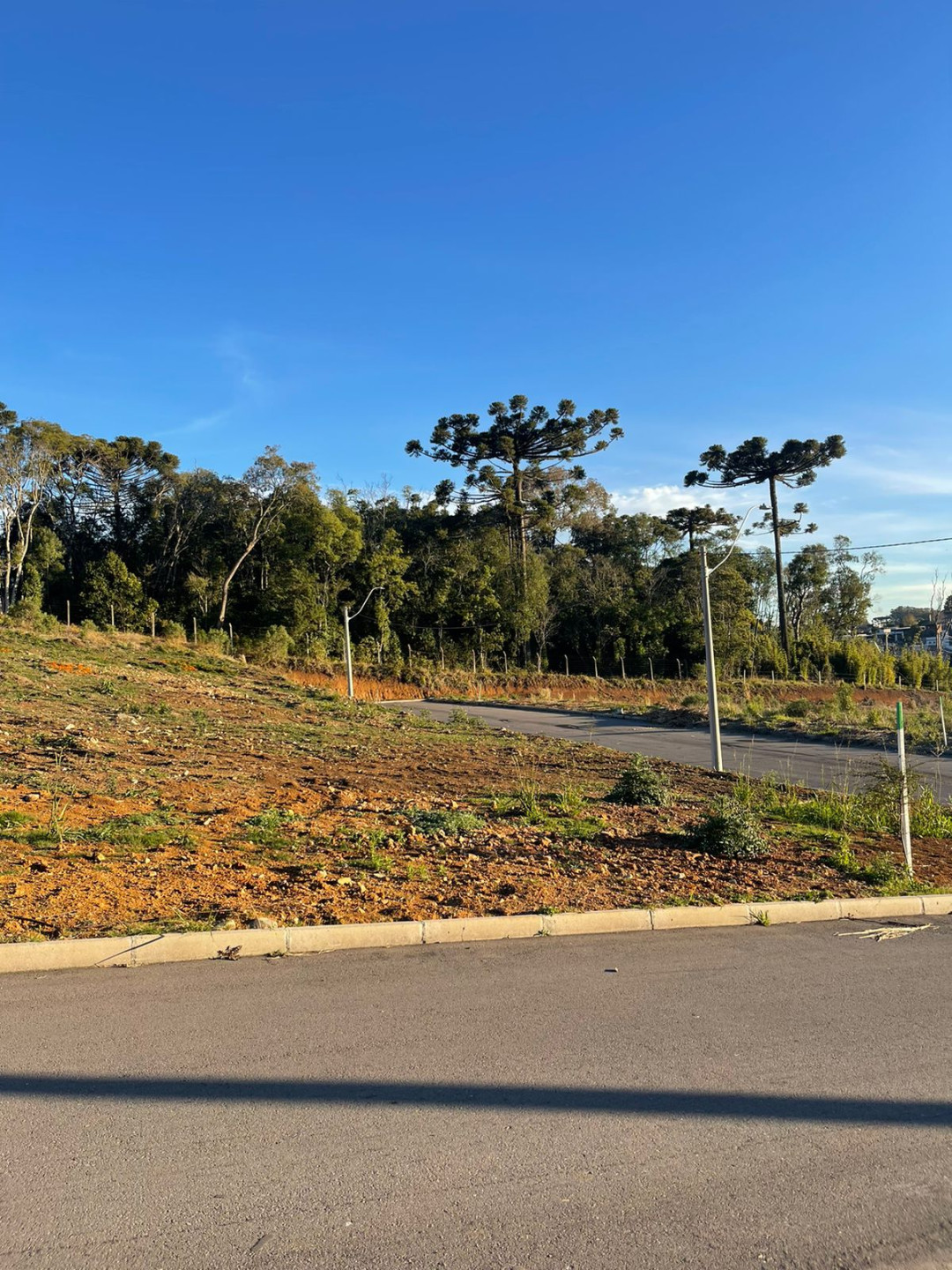 Terreno, 345 hectares - Foto 21