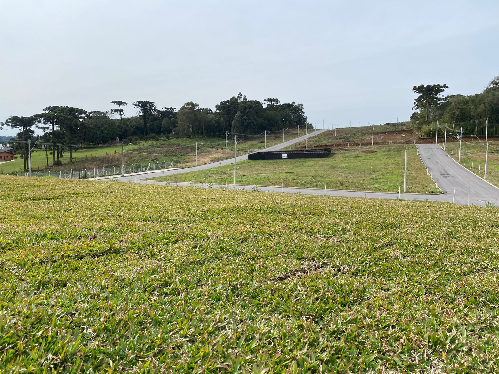 Terreno, 345 hectares - Foto 12