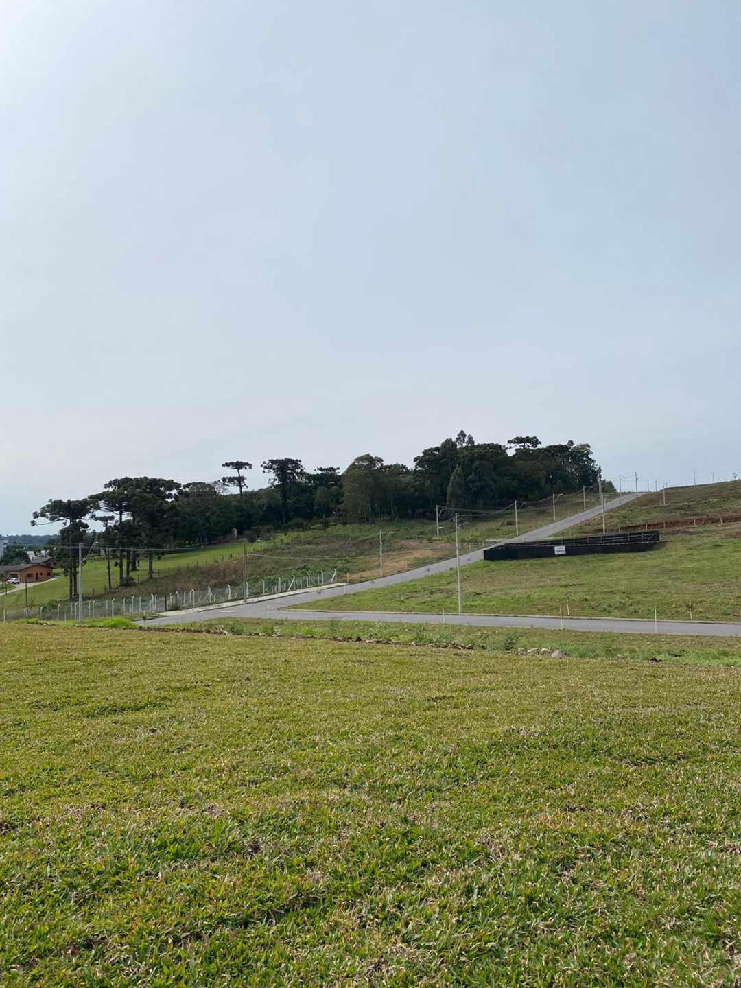 Terreno, 345 hectares - Foto 10