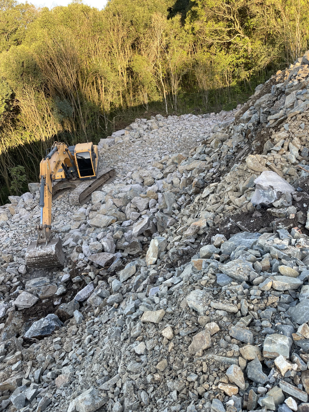 Terreno, 360 hectares - Foto 10